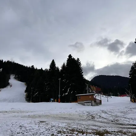 Thewhitehorse 3 보로베츠
